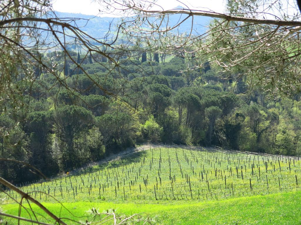 Agriturismo Il Palagetto ポマランチェ エクステリア 写真