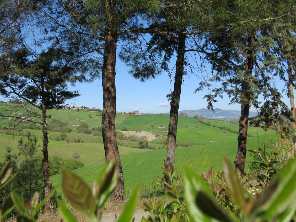Agriturismo Il Palagetto ポマランチェ エクステリア 写真